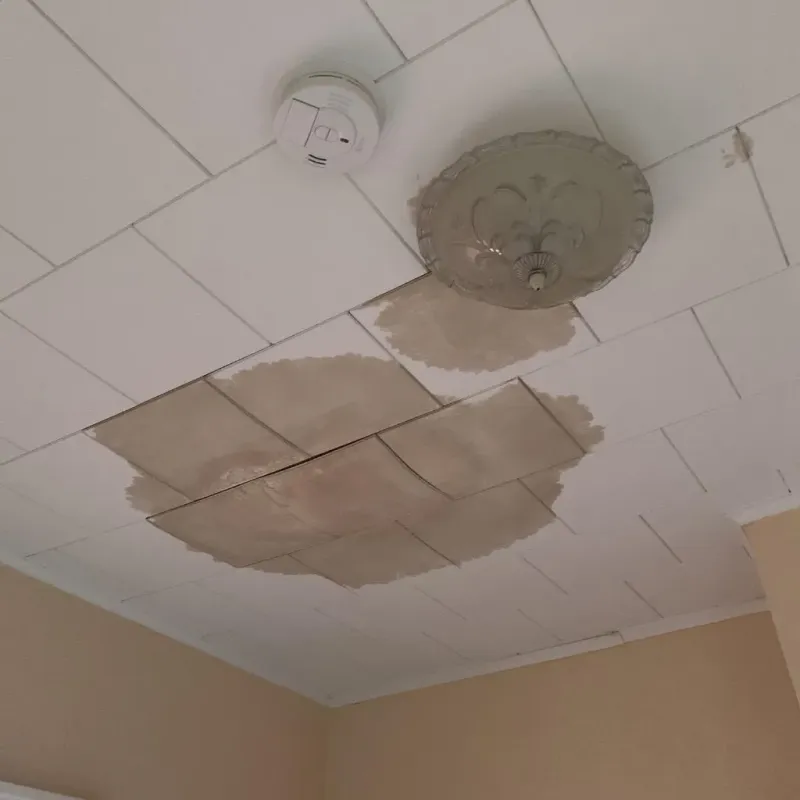 Ceiling Water Damage Repair in East Dennis, MA